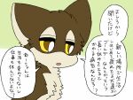 2024 ambiguous_gender ayaka brown_body brown_fur canid canine canis comic duo feral fur fuuga hybrid japanese_text kemono mammal semi-anthro solo tan_body tan_fur tan_inner_ear text translated wolfdog yellow_eyes