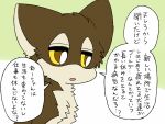  2024 ambiguous_gender ayaka brown_body brown_fur canid canine canis comic duo feral fur fuuga hybrid japanese_text kemono mammal semi-anthro solo tan_body tan_fur tan_inner_ear text translated wolfdog yellow_eyes 