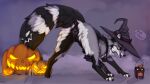  anal animal_genitalia candle canid canine canis clothing cookie female feral food fox fruit genitals grass halloween hat headgear headwear hi_res holidays magic_user mammal plant presenting pumpkin solo sweets tail taka_(artist) true_fox wet witch 