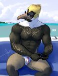  2024 abs anthro avian bgn biceps bird boat brown_pelican cellphone clothed clothing electronics eyewear feather_hair feathers glasses hi_res holding_cellphone holding_object holding_phone holding_smartphone looking_aside male muscular nipples on_boat outside pecs pelecaniform pelican phone pseudo_hair sitting sky skyscape smartphone solo speedo speedo_only swimwear topless triceps vehicle watercraft 