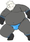  2024 anthro bear bear_2key belly big_belly black_nose bulge clothing hi_res kemono male mammal overweight overweight_male simple_background skinsuit solo tight_clothing tongue tongue_out underwear white_background white_body 