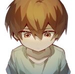  1boy brown_eyes brown_hair child chinese_commentary closed_mouth collarbone commentary_request green_shirt hair_between_eyes jabuchi_you light_frown looking_down lu-nonad male_focus portrait saibou_shinkyoku shirt simple_background solo white_background 