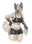  2023 anthro athletic_wear banoncat bodily_fluids bottomwear bra breath clothing drooling_tongue fangs female fur gym_bottomwear gym_shorts hand_on_hip hi_res holding_cloth hyena looking_aside mammal markings midriff panting shorts simple_background solo sports_bra spots spotted_body spotted_fur sweat sweatdrop teeth thick_thighs thigh_gap underwear white_background 