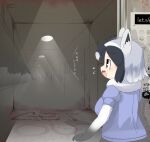  1girl animal_ears arai-san_mansion black_hair blood blood_splatter blue_shirt blush breasts brown_eyes commentary_request common_raccoon_(kemono_friends) door elbow_gloves elevator english_text gloves gradient_gloves grey_gloves grey_hair hallway highres indoors kemono_friends lets0020 looking_afar medium_breasts multicolored_hair open_mouth puffy_short_sleeves puffy_sleeves raccoon_ears raccoon_girl shirt short_hair short_sleeves solo translation_request upper_body white_hair 