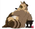  2021 anthro brown_body brown_fur butt canid canine fur gontadanuki green_eyes hi_res kemono male mammal overweight overweight_anthro overweight_male raccoon_dog sengoku_puzzle simple_background sitting solo tanuki tokugawa_ieyasu video_games white_background 