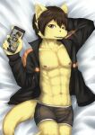  absurd_res anthro bed clothing dragon fur furniture furred_dragon hi_res looking_at_porn looking_at_viewer lying lying_on_bed male on_bed phone solo unit_no04 