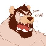  1:1 angry anthro beard brown_hair eyebrows facial_hair fur ghoskee grey_body grey_fur growling hair hi_res male mammal open_mouth roaring sharp_teeth simple_background solo teeth tongue ursid white_background 