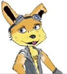  beakcore clothing daxter eyewear goggles jacket jak_and_daxter male mammal mustelid naughty_dog ottsel solo sony_corporation sony_interactive_entertainment tongue topwear video_games 