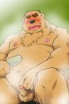  2021 2:3 anthro balls bathing black_nose blush brown_body brown_fur censored erection eyes_closed fur genitals humanoid_genitalia humanoid_penis kemono male mammal moobs nipples penis shibatanukiti solo ursid water wet 