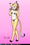  absurd_res anthro bikini bikini_thong bikini_top blue_eyes brown_hair bulge clothed clothing crossdressing domestic_cat felid feline felis fur girly hair hi_res looking_at_viewer male mammal micro_bikini ponytail promedio promedio(character) simple_background smile solo swimwear thick_thighs yellow_body yellow_fur 