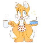  bottomwear boxers_(clothing) canid canine clothing fox hi_res kitsune2000 male mammal miles_prower prower shorts solo sonic_the_hedgehog_(series) tails_(disambiguation) underwear young 