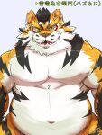  2021 anthro felid fur hi_res japanese_text kemono male mammal overweight overweight_male pantherine raiden_tameemon sengoku_puzzle solo text tiger tiri_mama video_games white_body white_fur yellow_body yellow_fur 