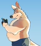  2021 anthro black_nose bottomwear brown_body brown_fur cellphone clothing fur hi_res humanoid_hands kangaroo macropod male mammal marsupial nookdae overweight overweight_male pants phone smartphone solo 