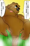  2021 anthro balls brown_body brown_fur fur genitals humanoid_hands japanese_text kemono male mammal moobs nipples overweight overweight_male penis shibatanukiti solo text towel ursid 