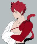  1boy animal_ears bangs blush brown_eyes cat_boy cat_ears cat_tail clothing_request collarbone crossed_arms emiya_shirou fang fate_(series) grey_background highres kemonomimi_mode long_sleeves looking_at_viewer male_focus profile red_hair short_hair sketch solo spiked_hair suzumetarou tail upper_body 