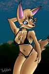  absurd_res anthro big_breasts breasts canid canine clothed clothing fan_character female fox hi_res levi mammal phenix pinup pose roughlove69 swimwear 