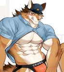  abs anthro barrel_(live-a-hero) blush canid canine canis chung0_0 clothed clothing clothing_lift hi_res jockstrap licking licking_lips live-a-hero male mammal muscular muscular_anthro muscular_male nipples pecs police_uniform shirt shirt_lift solo tongue tongue_out topwear underwear uniform wolf 