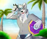  anthro beach canid canine canis clothed clothing dante_kinkade fickle frickle male mammal pool_toy seaside solo swimwear topless wolf 
