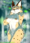  absurd_res anthro blue_eyes brown_nipples ear_piercing ear_ring felid feline female fog genitals hi_res looking_at_viewer lynx mammal miyu_lynx nintendo nipple_piercing nipples piercing pussy richardarkness signature solo star_fox steam sytherush video_games 