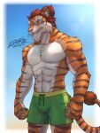 3:4 abs anthro armband armpit_hair athletic blue_sky body_hair bottomwear brown_striped_fur champion claws clothing dark_claws digital_drawing_(artwork) digital_media_(artwork) drawstring_bottomwear fangs felid feline_ears feline_eyes feline_tail finger_claws fluffy fluffy_tail fur glistening glistening_body gradient_background green_bottomwear green_clothing green_eyes green_shorts green_swimming_trunks green_swimwear hair hair_bun hi-rez_studios hi_res light male mammal markings muscular muscular_male orange_body orange_fur paladins_(game) pantherine pecs pecs_focus pink_nose pointy_ears portrait red_hair sagadreams scar shirtless_anthro shirtless_male shorts signature simple_background sky solo striped_body striped_fur striped_markings striped_tail stripes summer sun_glare sunlight swimming_trunks swimwear tail tail_markings teeth tiberius_(paladins) tiger warrior white_body white_fur