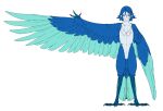 4_toes accessory ambiguous_gender animal_humanoid anisodactyl anthro avian avian_humanoid bird bird_feet bird_humanoid blue_body blue_eyes blue_feathers blue_hair blue_scales chest_tuft claws digitigrade european_mythology feathered_wings feathers featureless_crotch feet finger_claws fingers greek_mythology hair hair_accessory hairclip harpy hayate_immelman humanoid humanoid_pointy_ears looking_at_viewer macross madiblitz model_sheet monster_girl_(genre) multicolored_body multicolored_feathers mythological_avian mythology nude scales short_hair simple_background solo standing tail_feathers talons toe_claws toes tuft white_background winged_arms wings 
