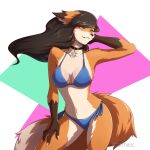  1:1 anthro bikini brown_hair canid canine clothing collar digital_drawing_(artwork) digital_media_(artwork) female fox fur furrholic hair mammal orange_body orange_fur smile solo swimwear white_body white_fur yellow_eyes 