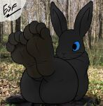  4_toes absurd_res ambiguous_gender anthro barefoot big_butt black_body black_eyes black_fur black_nose blue_sclera brown_feet butt casual_nudity claws countershade_feet countershading curvaceous curvy_figure digital_media_(artwork) electricsnowfox feet foot_fetish foot_focus fur hi_res hindpaw humanoid_feet lagomorph legs_up leporid long_ears looking_at_feet mammal nude paws photo_background plantigrade presenting presenting_hindquarters rabbit rear_view short_stack sitting soles solo thick_thighs toe_claws toes voluptuous whiskers wide_hips wrinkled_feet 
