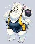  2021 anthro balls_outline black_nose bulge canid canine canis domestic_dog fur genital_outline humanoid_hands kemono male mammal nekomarudon nordic_sled_dog overweight overweight_anthro overweight_male penis_outline samoyed simple_background solo spitz tanukimaru white_body white_fur wrestling_singlet 