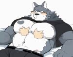  2d_animation animated anthro blush canid canine canis chest_grab chest_tattoo clothed clothing fur fur_markings hyaku_(artist) loop male mammal markings muscular muscular_anthro muscular_male pecs raised_clothing raised_shirt raised_topwear rubbing_chest shirt short_playtime solo solo_focus topwear wolf 