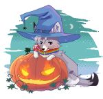  animated candy canid canine canis clothing dante_kinkade dessert ear_twitch feral food halloween hat headgear headwear holidays jack-o&#039;-lantern low_res male mammal moon pag0rki solo star tailwag witch_hat wolf 
