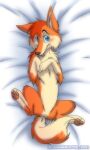  2021 4_toes absurd_res alaskan_klee_kai bedroom_eyes blue_eyes blush brown_body brown_fur canid canine canis dakimakura_design dakota_(flamewolf22) domestic_dog featureless_crotch feet feral fur hi_res male mammal narrowed_eyes pawpads paws pillow seductive solo spitz spread_legs spreading tan_body tan_fur toes tre_pinkney 