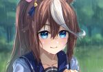  1girl animal_ears bangs blue_eyes blue_shirt blurry blurry_background blush brown_hair closed_mouth collarbone day depth_of_field eyebrows_visible_through_hair hair_between_eyes hand_up horse_ears long_hair looking_at_viewer multicolored_hair ouri_(aya_pine) outdoors ponytail rain school_uniform shirt smile solo streaked_hair tokai_teio_(umamusume) tracen_school_uniform tree umamusume upper_body wet wet_clothes wet_hair wet_shirt white_hair 