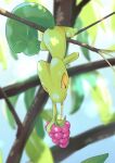  berry_(pokemon) black_eyes blurry blurry_background branch colored_sclera commentary food full_body highres holding holding_food in_tree leaf looking_at_food no_humans outdoors pokemon pokemon_(creature) qua razz_berry slit_pupils solo symbol-only_commentary tree treecko upside-down yellow_sclera 