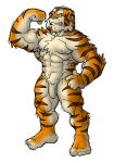  2002 anthro balls barazoku felid flaccid genitals humanoid_genitalia humanoid_hands humanoid_penis kemono low_res male mammal muscular muscular_anthro muscular_male pantherine penis simple_background solo tiger white_background yuuki-abe 