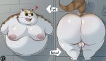  ! 2021 ? anthro areola balls belly big_belly big_butt bodily_fluids brown_body brown_fur butt domestic_cat eyewear famous_fred fangs felid feline felis fur genitals glasses hi_res huge_butt male mammal moobs nude open_mouth overweight overweight_anthro overweight_male pink_nose public_use raised_tail short_ears small_ears solo striped_tail stripes sweat thick_thighs through_wall tongue trashtoonz wall_(disambiguation) watermark whiskers white_body white_fur yellow_sclera 
