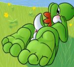 3_toes anthro anus backsack balls barefoot blush butt curling_toes dinosaur feet flower flower_in_mouth fol foot_focus genitals grass green_body green_scales green_yoshi hi_res humanoid_feet looking_at_viewer looking_back looking_back_at_viewer lying male mario_bros nintendo nude on_front outside plant plantigrade prehistoric_species reptile scales scalie simple_background smile soles solo solo_focus toes yoshi