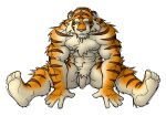  2007 anthro balls felid flaccid genitals humanoid_genitalia humanoid_hands humanoid_penis kemono low_res male mammal muscular muscular_anthro muscular_male pantherine penis simple_background sitting solo tiger white_background yuuki-abe 