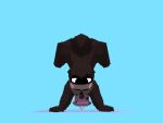 2d_animation 3d_(artwork) 3d_animation 4:3 ace_giant_otter_(samichott) animal_genitalia animal_penis animated anthro balls big_penis blush blush_lines bodily_fluids cum cum_on_penis cum_while_penetrated digital_media_(artwork) ejaculation equine_genitalia equine_penis erection front_view genital_fluids genitals giant_otter handstand happy huge_penis looking_at_viewer loop low_poly male mammal masturbation mustelid otter penetration penis river_otter samichott_(artist) sex_toy sex_toy_insertion solo sounding_rod tail tail_motion thick_thighs tongue urethral urethral_masturbation urethral_penetration