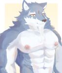  abs anthro beard biceps black_nose canid canine canis eyebrows facial_hair fur grey_body grey_fur hoang_nguyen law_(sdorica_sunset) male mammal multicolored_body multicolored_fur muscular muscular_anthro muscular_male nipple_piercing nipples pecs piercing sdorica shirtless solo thick_eyebrows two_tone_body two_tone_fur white_body white_eyebrows white_fur wolf yellow_eyes 