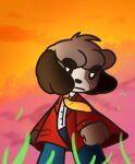 2018 4_fingers animal_crossing anthro black_eyebrows black_nose black_sclera blue_bottomwear blue_clothing blue_pants bottomwear brown_body brown_ears brown_fur button_(fastener) canid canine canis clothed clothed_anthro clothed_male clothing colored cookieboy011 digby_(animal_crossing) digital_drawing_(artwork) digital_media_(artwork) domestic_dog english_description evening eyebrow_through_hair eyebrows fingers fist fluffy_ears freckled_face freckles fully_clothed fully_clothed_anthro fully_clothed_male fur grass hair jacket light lighting low_res male male_anthro mammal mouth_closed necktie nintendo open_clothing open_jacket open_topwear orange_necktie orange_sky outside pants plant pockets portrait red_clothing red_jacket red_topwear shaded shih_tzu short_hair sky solo three-quarter_portrait topwear toy_dog translucent translucent_hair white_dress_shirt white_eyes