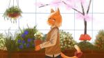 2024 5_fingers ambiguous_gender anthro bow_ribbon clothing digital_drawing_(artwork) digital_media_(artwork) domestic_cat felid feline felis fingers flower garden greenhouse hair hi_res leaf mametunu mammal plant shirt smile tail topwear tree vivarium