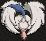 2024 anus backsack balls big_balls big_penis blue_tail butt butt_shot canid colored digital_media_(artwork) erection feathered_wings feathers feral fur generation_6_pokemon genitals huge_balls knot llametsul male male_feral mammal mega_absol mega_evolution monotone_body monotone_fur monotone_tail nintendo penis pink_penis pokemon pokemon_(species) presenting presenting_balls presenting_hindquarters raised_tail rear_view shaded signature simple_shading solo tail white_balls white_body white_fur white_wings wings