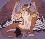 2025 4_toes 5_fingers anthro avian balls beak biped bodily_fluids brown_body brown_feathers brown_fur brown_tail countershade_fur countershade_torso countershading cum cum_on_body cum_on_chest cum_on_face cum_on_hand cum_on_own_chest cum_on_own_face cum_on_own_hand cum_on_own_penis cum_on_own_tongue cum_on_penis cum_on_self cum_on_tongue digital_media_(artwork) erection feathers feet fingers front_view fur genital_fluids genitals green_eyes gryphon hi_res looking_at_viewer male mythological_avian mythological_creature mythology nude nude_anthro nude_male open_beak open_mouth pawpads paws penis ruaidri scuted_arms scutes simple_background sitting solo spread_legs spreading tail toes tongue wings