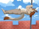  abs anthro athletic barefoot battlement bottomwear calisthenics castle clothing crown dragon dragon_flag exercise feet flag_pole happy hi_res male mane muscular muscular_male pants prince prince_borgon royalty sky solo story story_in_description subaru_aotk tail_tuft training tuft 