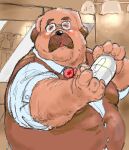  2004 anthro brown_body brown_fur canid canine canis clothing digital_media_(artwork) domestic_dog eyes_closed eyewear fur glasses humanoid_hands inside kemono low_res male mammal oekaki overweight overweight_anthro overweight_male shirt solo topwear unknown_artist 