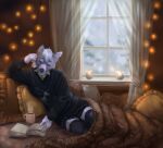  almatea anthro bed beverage book candle canid canine canis clothing coffee coffee_mug dante_kinkade fairy_lights footwear furniture knee_highs knee_socks legwear lying lying_on_bed male mammal on_bed on_side reading relaxing snow snowing snowing_outside socks solo sweater topwear winter wolf 