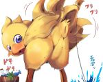  2019 animal_genitalia anthro anus avian bird chocobo cloaca feathers female feral final_fantasy genitals hi_res japanese_text looking_at_viewer open_mouth purple_eyes pussy rear_view simple_background solo square_enix sukiya text tongue video_games wings yellow_body 