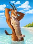  abs antelope anthro balls beach bovid brown_body brown_fur chest_tuft day erection fur gazelle genitals hands_behind_head hi_res horn humanoid_genitalia humanoid_penis kantachibli looking_at_viewer male mammal muscular muscular_anthro muscular_male nude outside partially_submerged penis sea seaside solo tail_tuft tuft water 