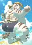  2021 absurd_res anthro belly butt clothing felid fur hi_res humanoid_hands kemono licho_(tas) male mammal obese obese_male outside overweight overweight_male pantherine ptcmtr solo surfboard surfing swimwear tiger tokyo_afterschool_summoners video_games water white_body white_fur 