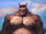  anthro clothed clothing common_hippopotamus dreamworks eyebrows hi_res hippopotamid karrnade madagascar_(series) male mammal moto_moto muscular muscular_anthro muscular_male nipples outside pecs sky solo topless wet 